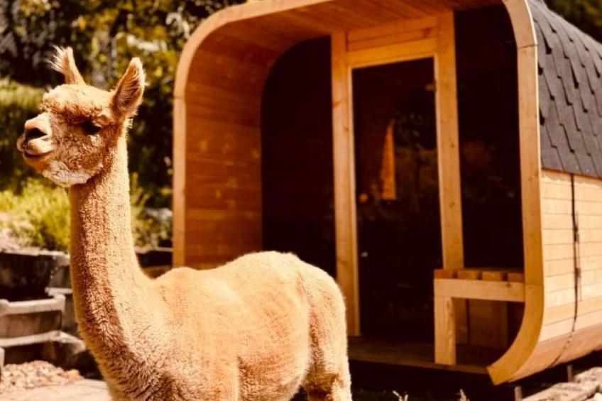 Alpaka-Ferienhaus Oenzlen