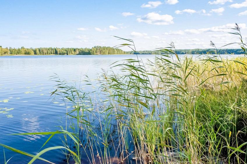 Kilpikonna - foto 24