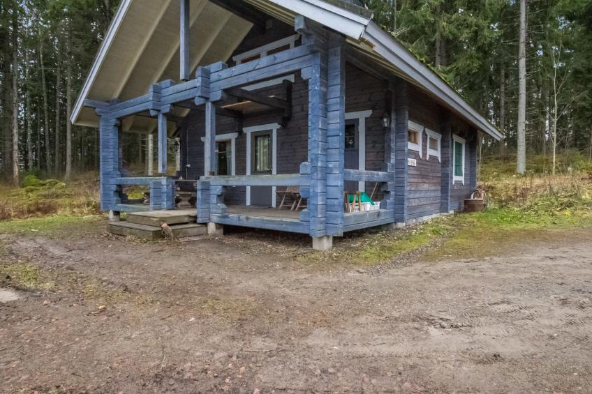 Mustikka, leppäniemen hirsihuvilat - foto 33