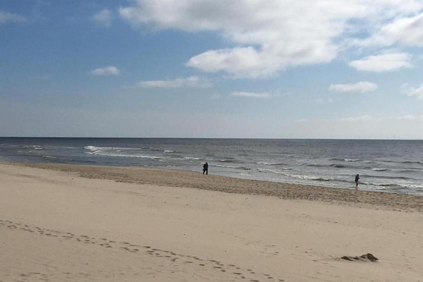 Wilca Hoeve - foto 36