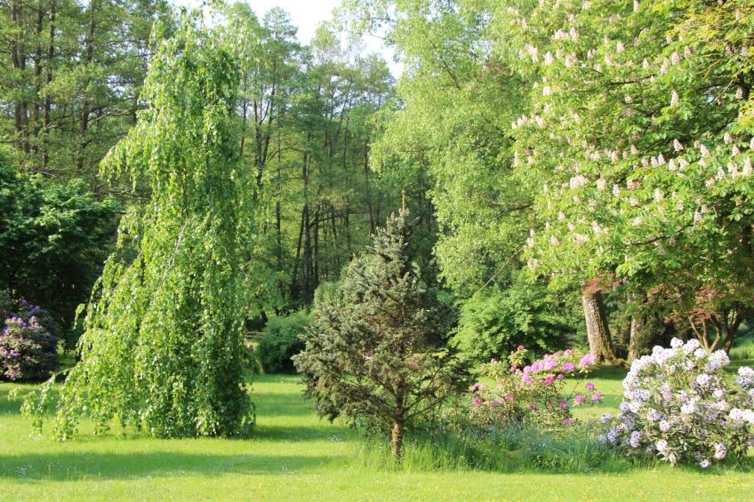 Ferienvilla mit eigener Sauna - foto 30