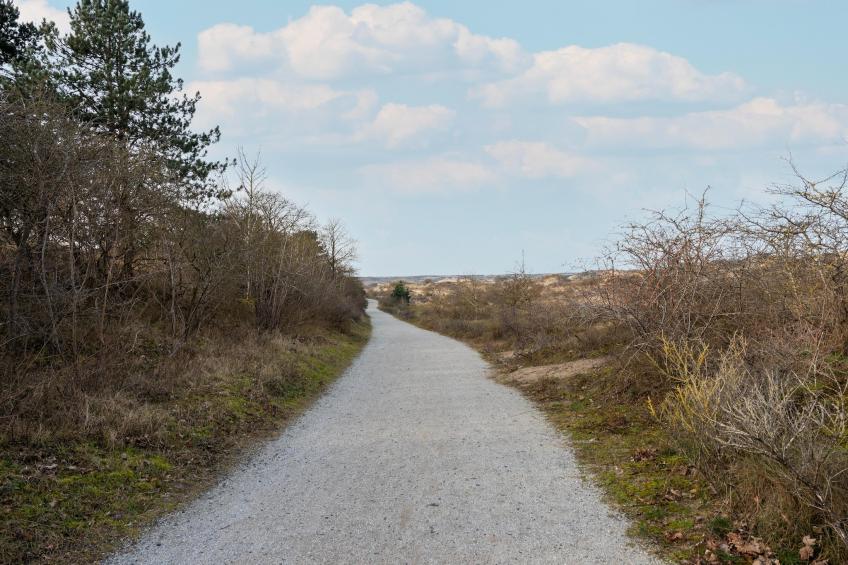 De Zilvermeeuw - foto 30