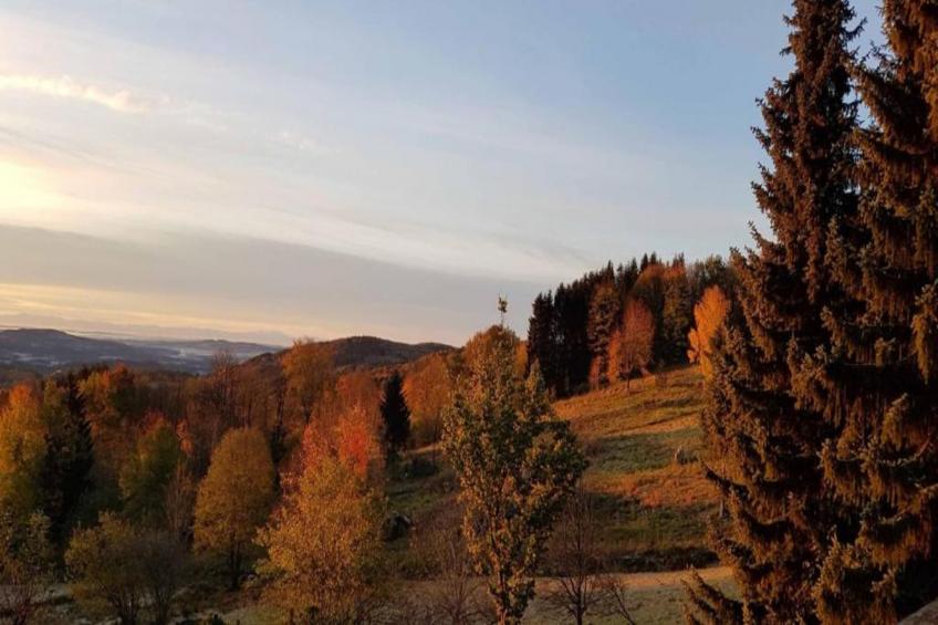 Ferienhaus Weitblick - foto 32