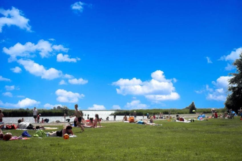 De Scholekster - foto 32