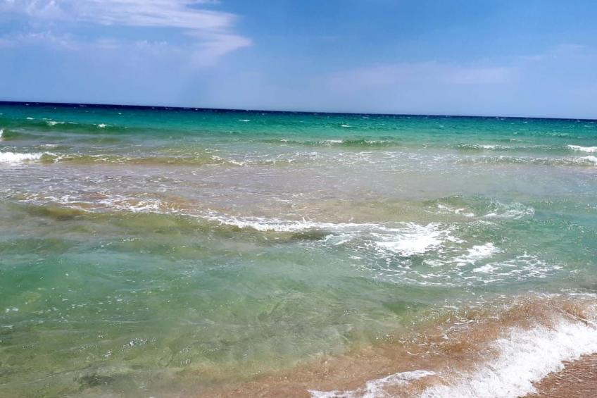 Wohnung mit Wallbox - foto 12