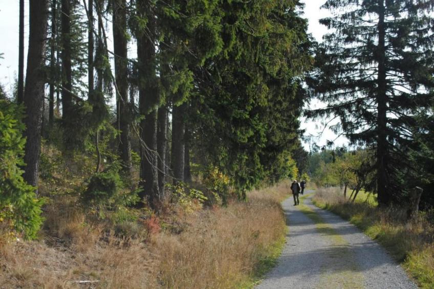 Haus Finger - foto 31