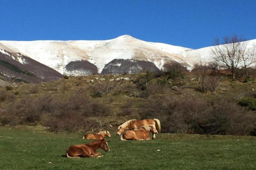 Lucia e Renzo - foto 33
