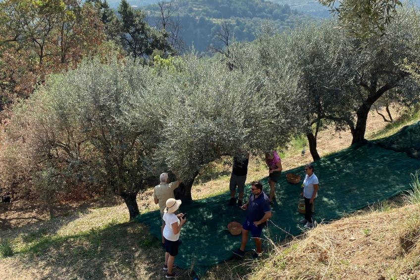 Wohnung in Badolato mit Terrasse - foto 19