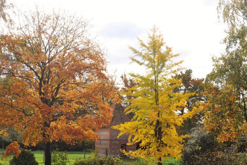 für 8 Personen - foto 24