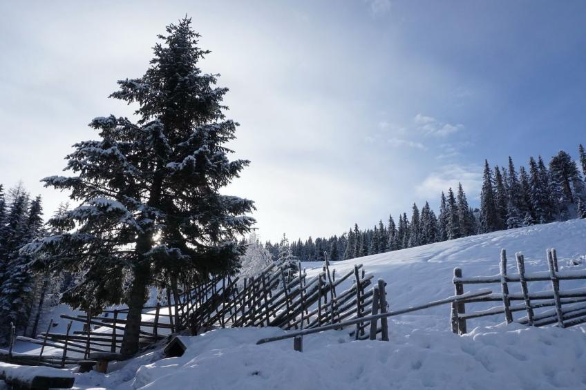 Guglhütte - foto 16