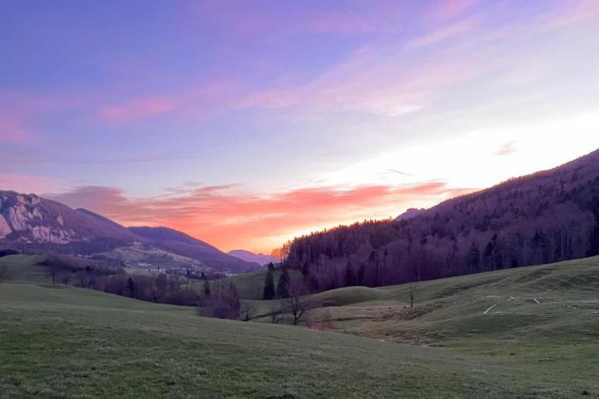 Schafmatthof 1 Obergeschoss - foto 3