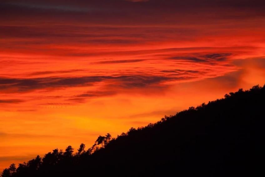 Unabhaengige Wohnung in Velva mit Garten und Grill - foto 36