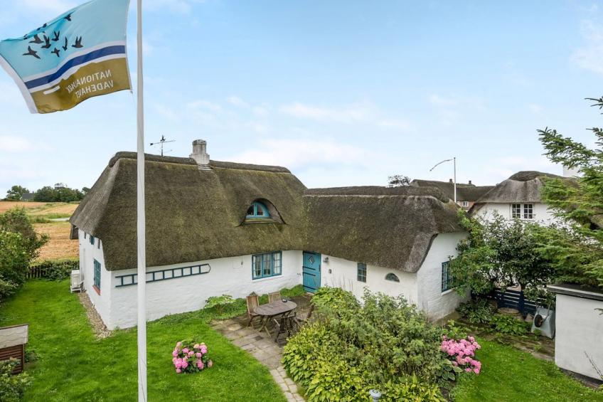 "Clausina" - 600m from the sea in Western Jutland - foto 2