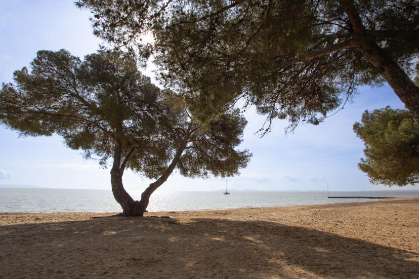 Résidence Les Océanides (LAL402) - foto 16