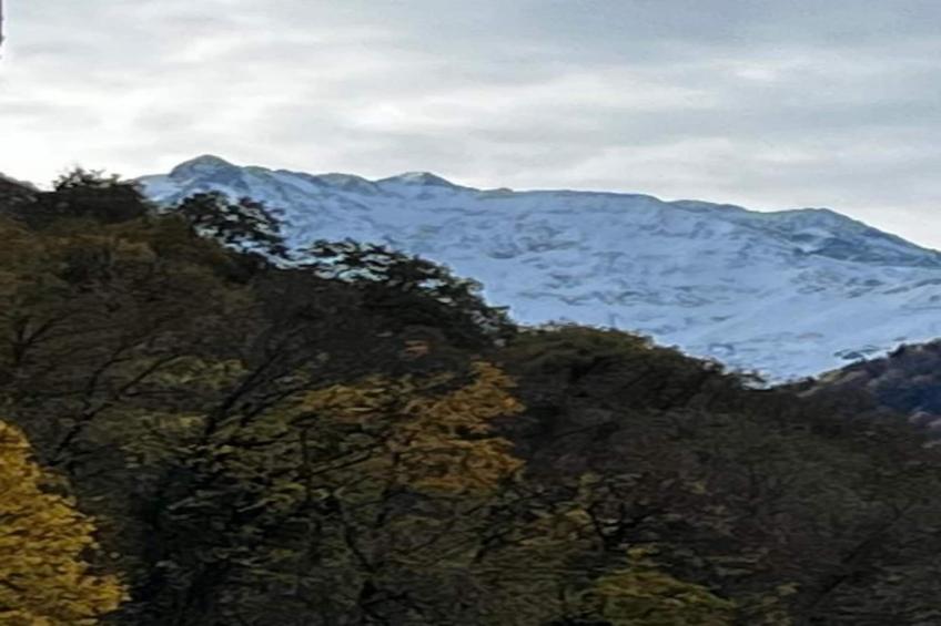 Résidence Le Belvédère - foto 28