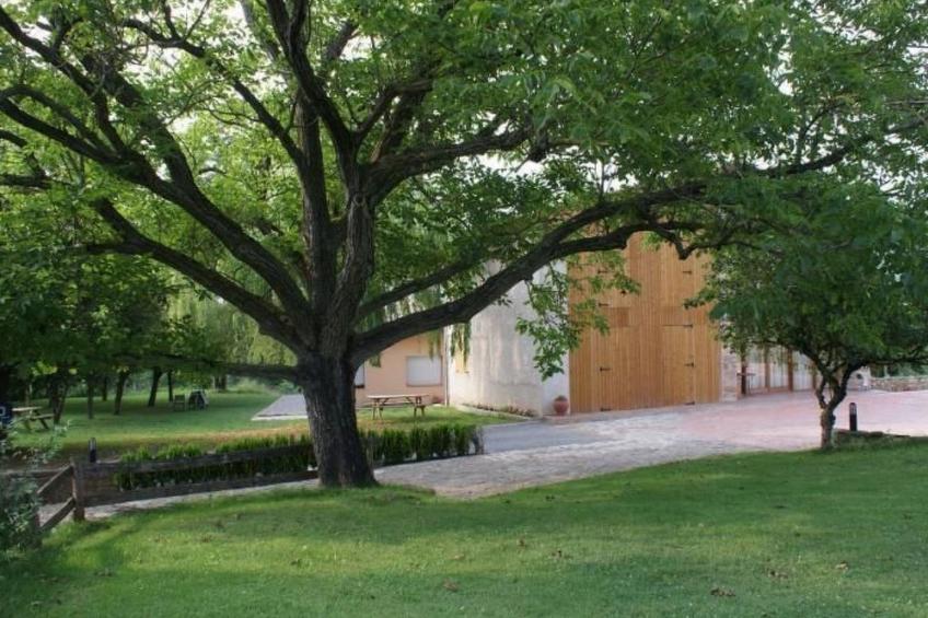 Kleiner Bungalow mit zwei Schlafzimmern. - foto 9