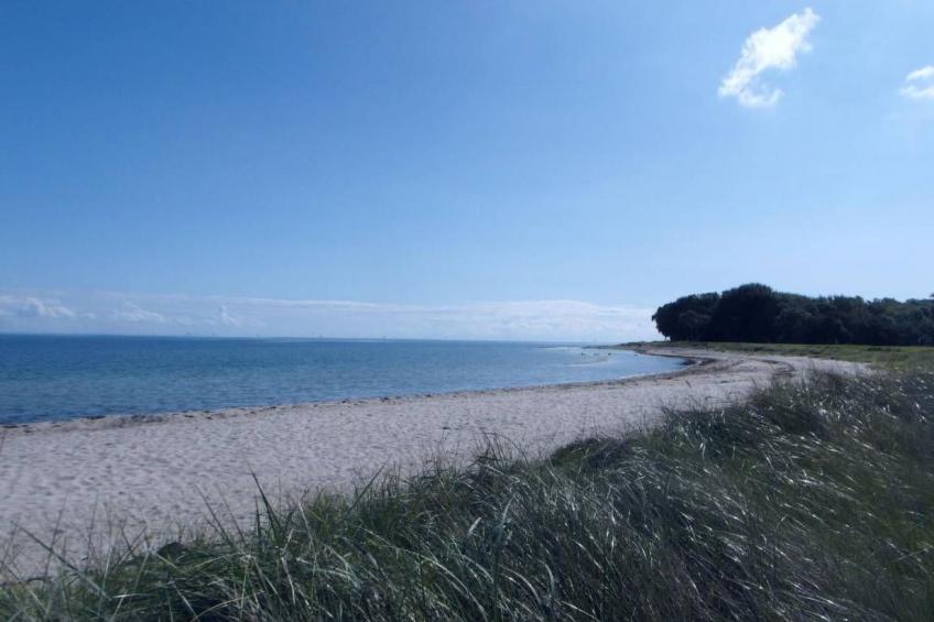 Urlaub am Meer im Ferienhaus mit Sauna - foto 12