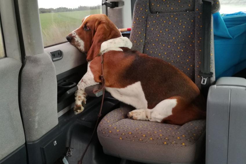 Pleine Nature in der Bretagne - foto 34