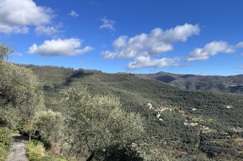 Agriturismo San Giuseppe (VLO210) - foto 57