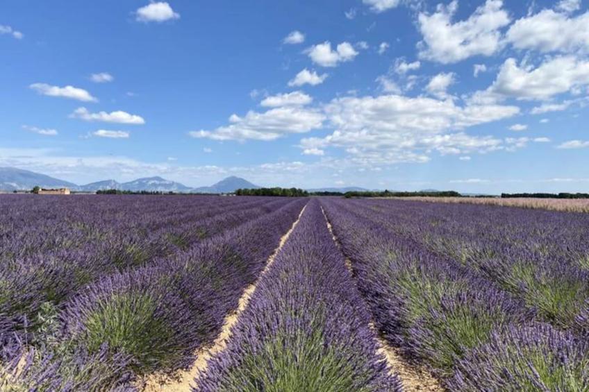 04b3: Beau T3 Au Coeur Des Lavandes - Piscine - foto 3