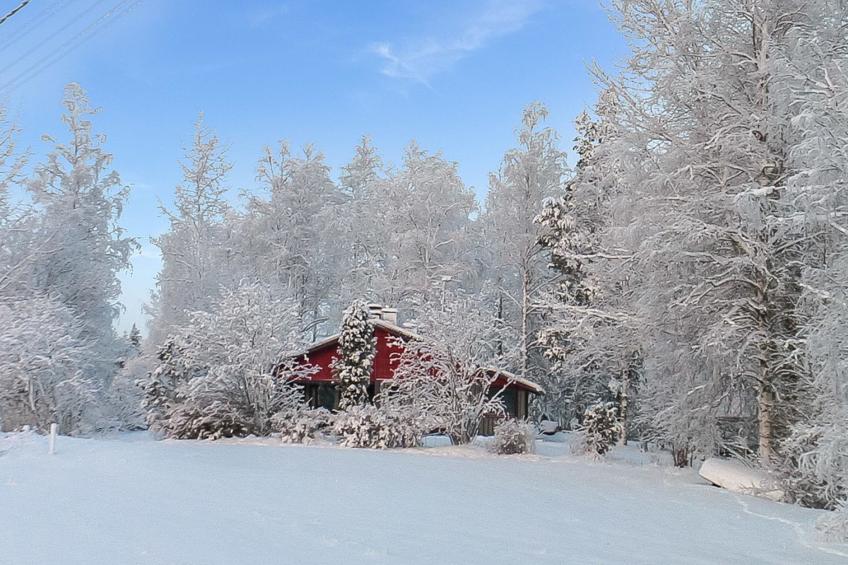 Viehko, mustosen lomamökit - foto 21