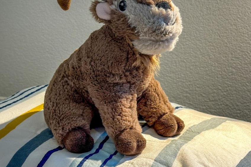 Ferienwohnung Lohner (EG) - foto 6