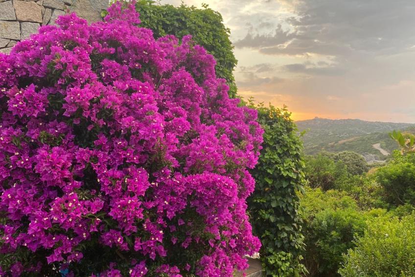 La Loggia mit privatem Pool - foto 82