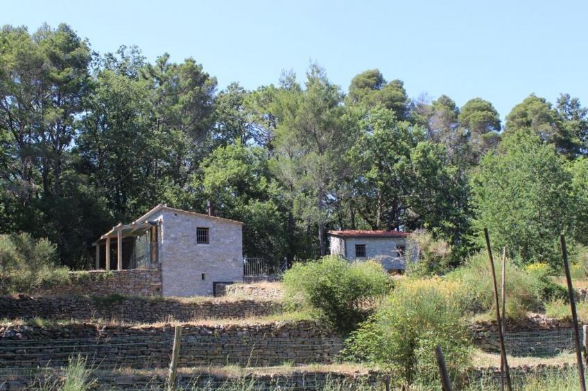 Mago in Ameglia - foto 45