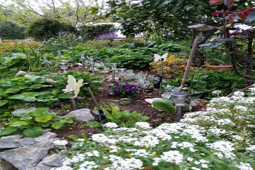 Apartments Vanja Škara Biograd - Two Bedroom Apartment with Terrace (Dvica) - foto 12