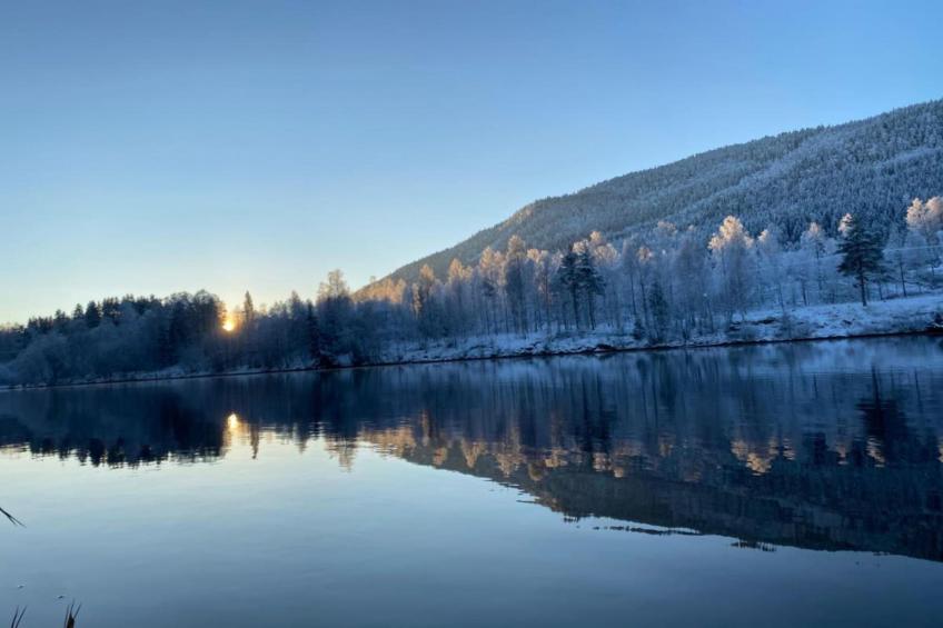 Letafors Herrgård - foto 19