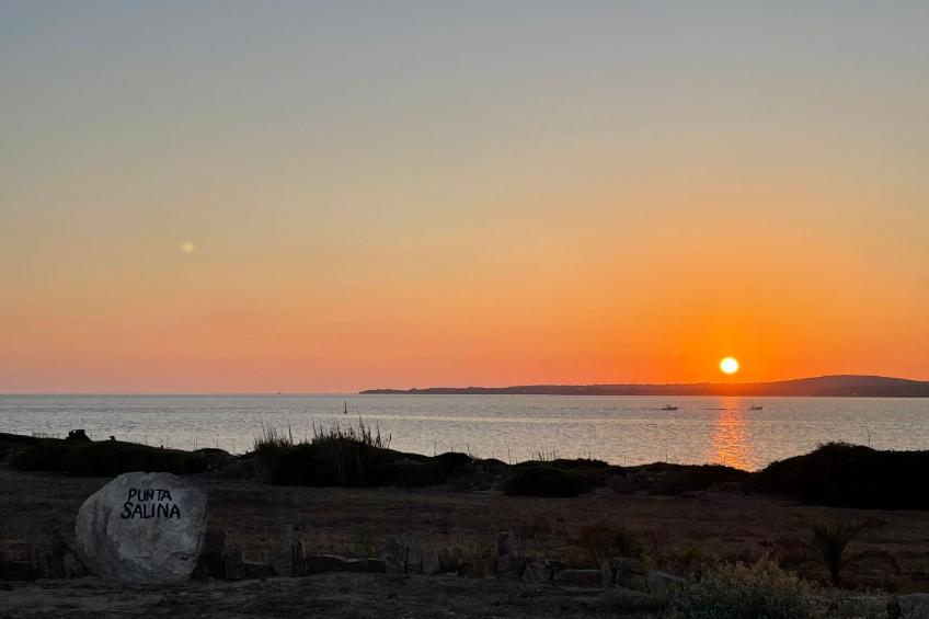 Wohnung in Calasetta mit Grill und Garten - foto 23