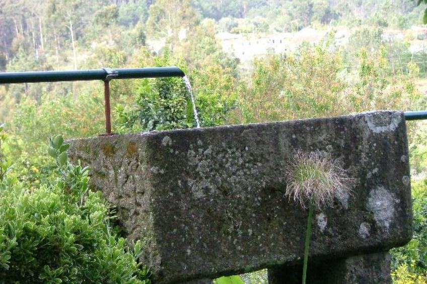 Finca "Quinta do Bento Novo" - foto 24