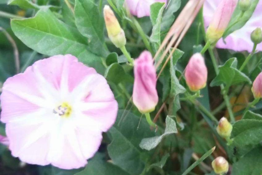 Landhaus Müritzliebe - foto 24