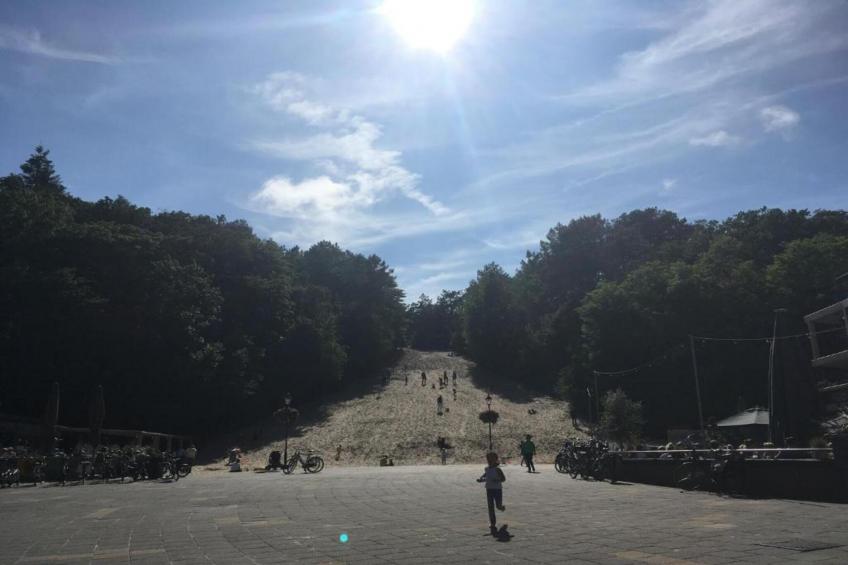 Anna's Place - foto 30