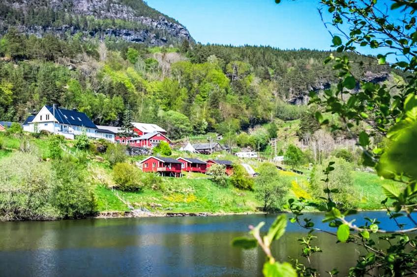 Samlen Vasselgård - foto 30