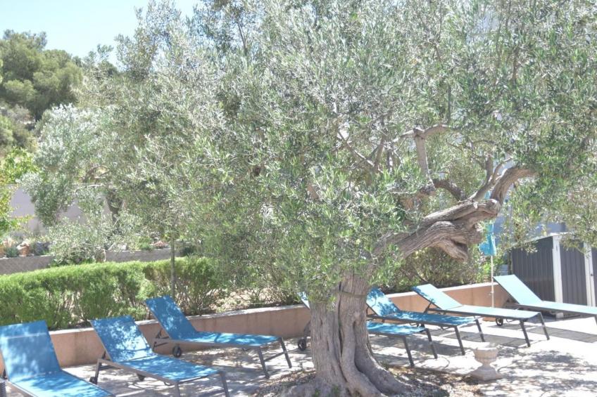 Garten Bungalow - foto 31