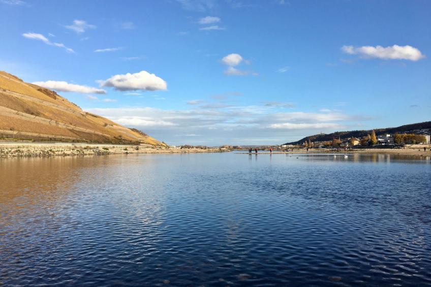 FeWo 5 Jahreszeiten - foto 33