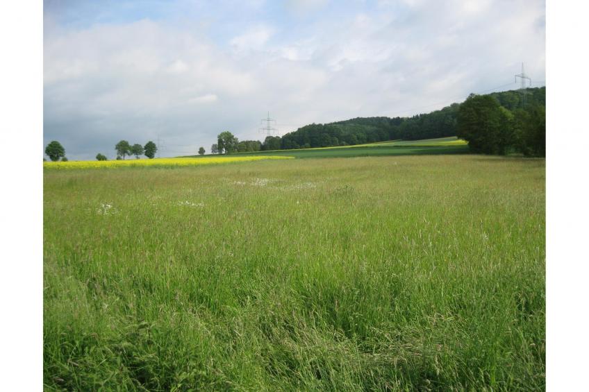 Gästehaus Kühne Fewo 1 OG - foto 15
