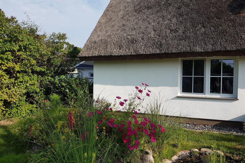 Traumhafte Ferienwohnung im Reetferienhaus - foto 8