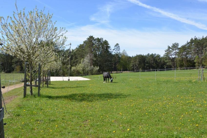 782785 - foto 5