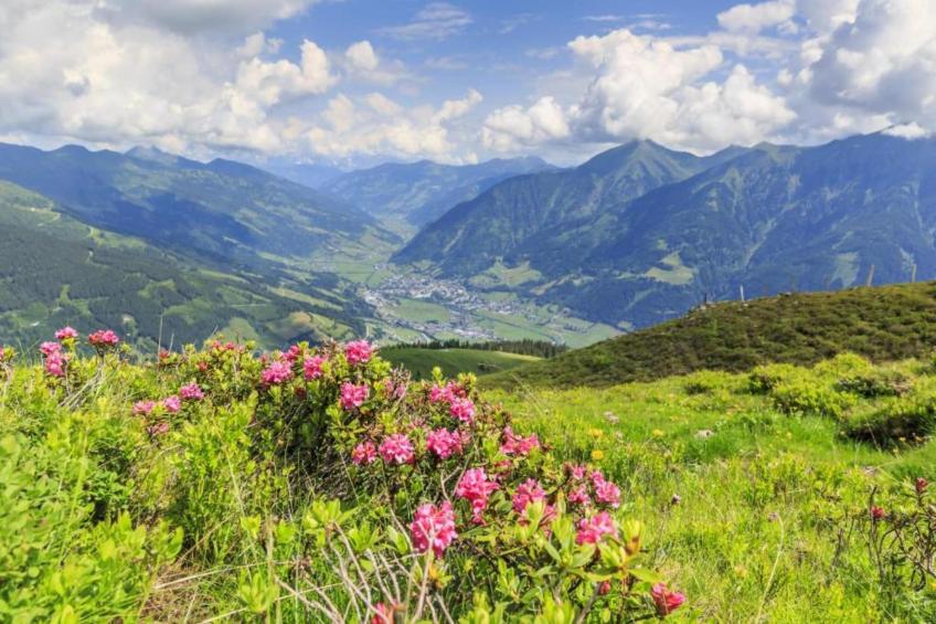 HB2 Haus Bergblick 01 - foto 38