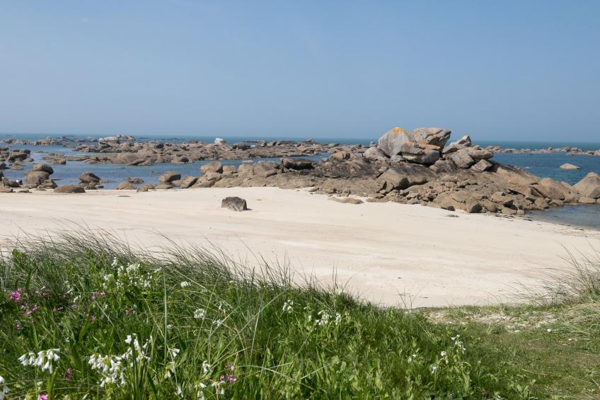 Les Chardons Bleus 2 (BRP205) - foto 29