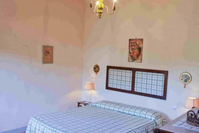 "Ciclamini capponi - foto 7