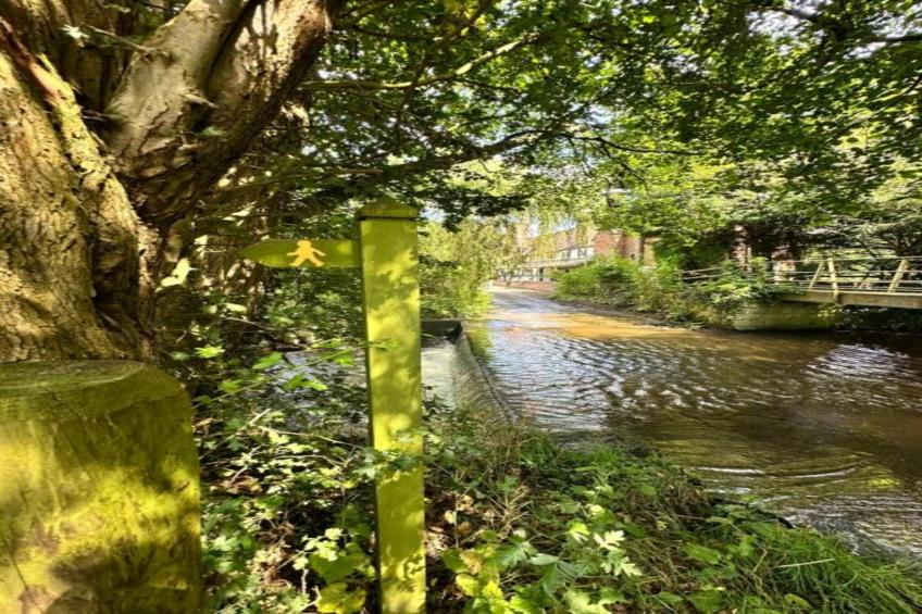 Netley Hall - Peach Tree - foto 21