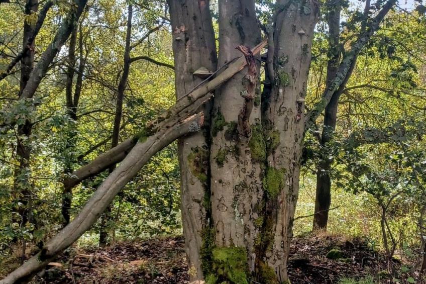 Pension Marianska - foto 20