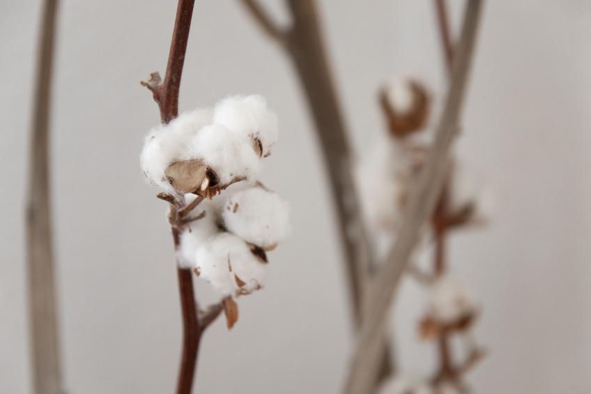 La Siala Apt.30 - foto 6