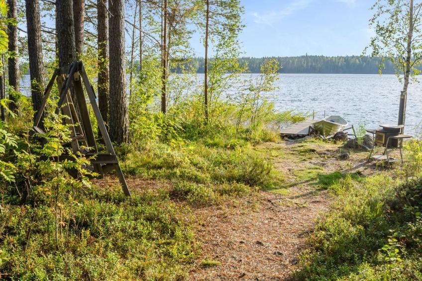 Koli, cjoe069 kissankello - foto 4