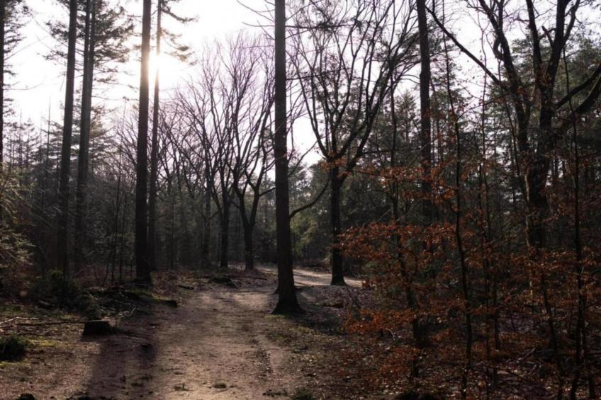 Park Haarle - foto 10