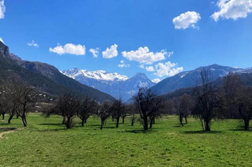 Résidence Le Rosier-vallouise - foto 4
