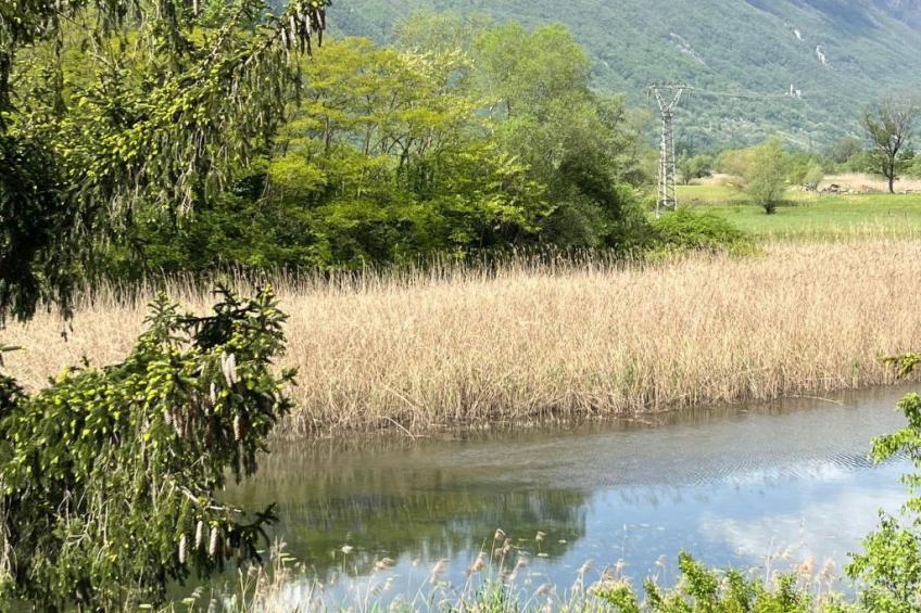 Vakantieappartement 'Willkommen am See' - foto 4